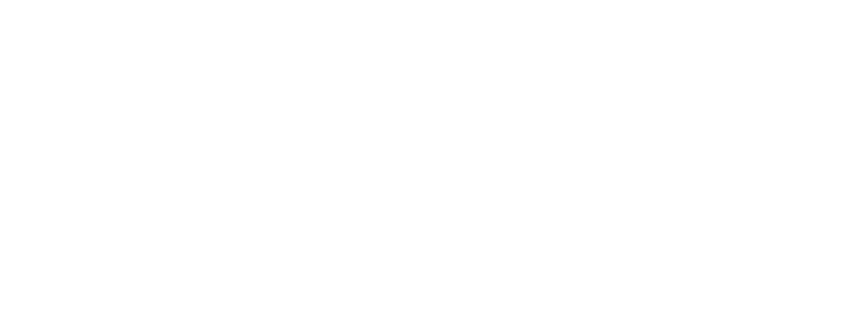 ViDiva